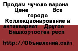 Продам чучело варана. › Цена ­ 15 000 - Все города Коллекционирование и антиквариат » Другое   . Башкортостан респ.